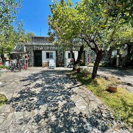 Rosy Apartment - Levanto, 5 Terre Exteriér fotografie