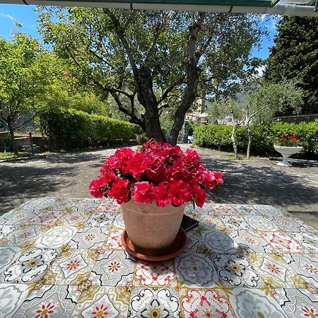 Rosy Apartment - Levanto, 5 Terre Exteriér fotografie