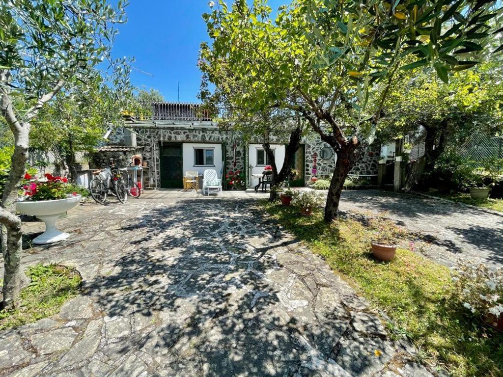 Rosy Apartment - Levanto, 5 Terre Exteriér fotografie