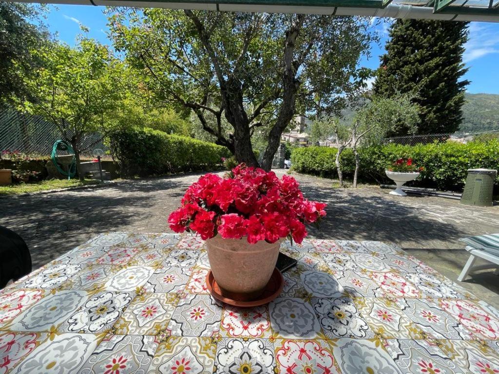 Rosy Apartment - Levanto, 5 Terre Exteriér fotografie