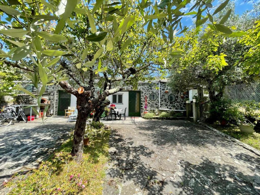 Rosy Apartment - Levanto, 5 Terre Exteriér fotografie